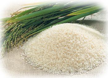 Guangzhou Municipal Government's Detection of Rice Storage in Cadmium Over-producing Areas