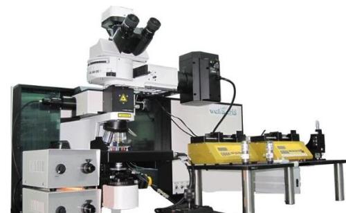 The first live single cell Raman separator was introduced
