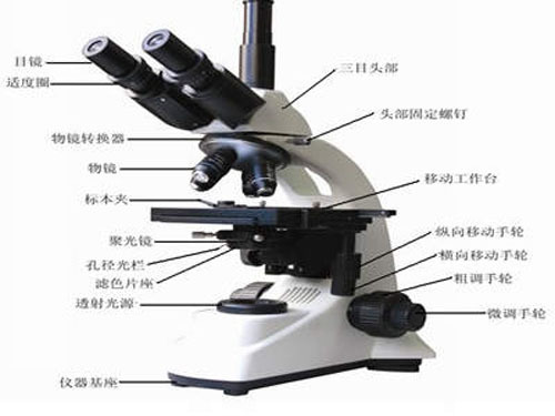 Western learning of the microscope