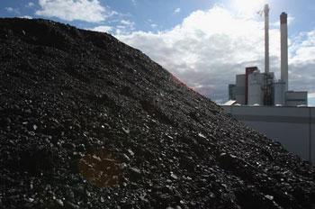 March domestic coal market sentiment index fell