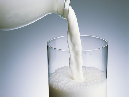 The Ministry of Agriculture coordinates milk enterprises to deal with selling milk