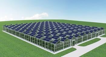 Photovoltaic companies keen to build factories overseas