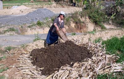 Don't "cold" the farmyard fertilizer