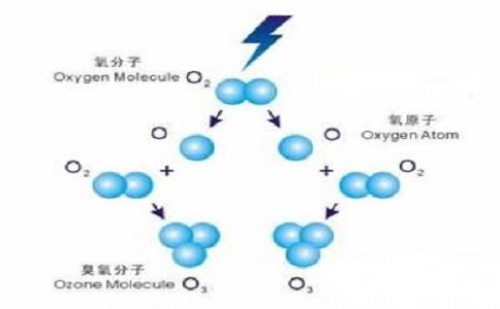 Ozone oil source and characteristics