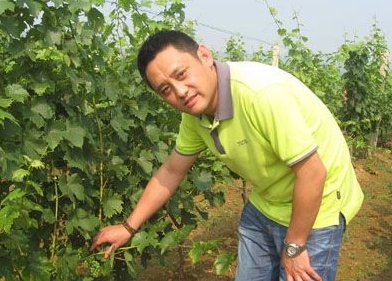 Interview with Chinese winemaker Yang Zhiyu