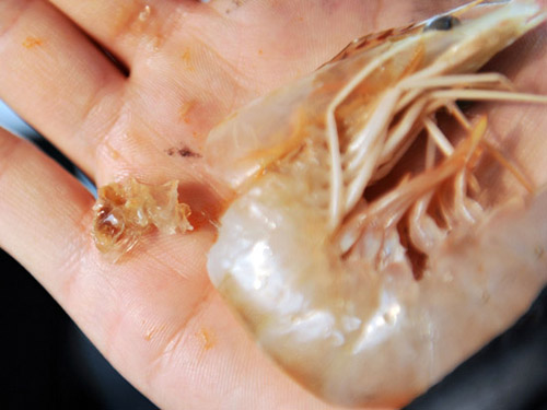 "Glue-injected shrimp" provokes market worries