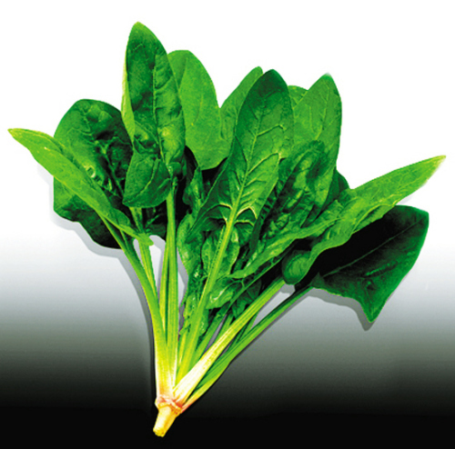 Why should we eat more spinach in spring?