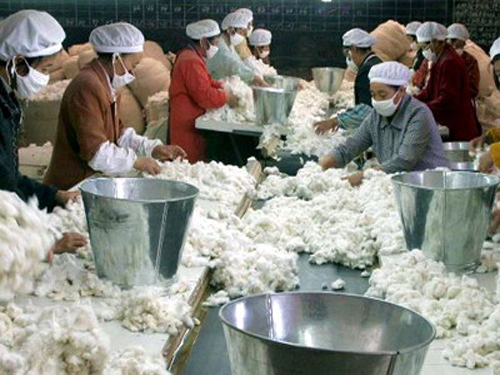 Out of the cotton trade dismal