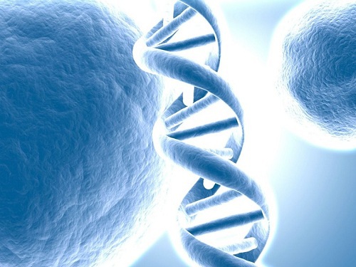 Gene testing will become a new type of employee benefits