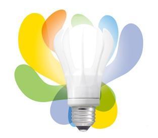 Foshan LED lamp standard passed expert review