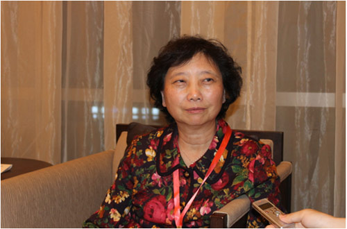 Dialogue LED Industry and Application Alliance Secretary-General Guan Baiyu