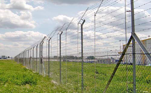 Electronic Fencing - Preventing External Invasion