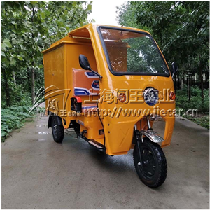 Mobile steam car washing machine