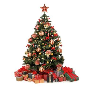 Taizhou sells Christmas trees