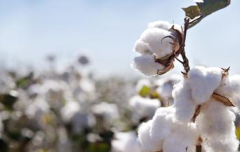 NDRC Initial Draft Opinions on Cotton Circulation System Reform