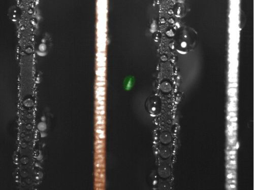 Dew can generate electricity!