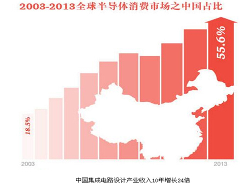 IC revenue increased by 24 times in 10 years