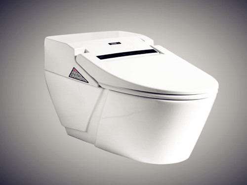 Smart Toilet Industry: Where the Future Is