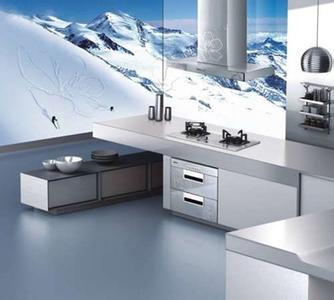 Kitchen appliance companies aim at customization