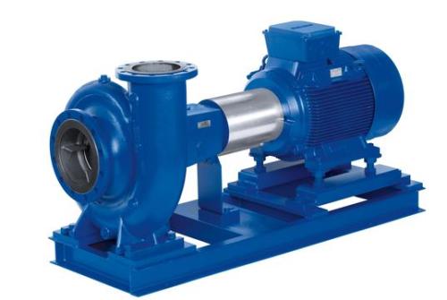 Future stainless steel pump will replace cast iron pump