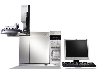 Application of Gas Chromatography in Food Testing