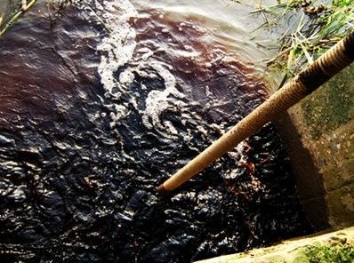 Paper industry wastewater discharge standards are expected to be introduced