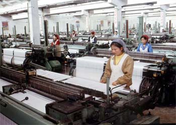 D-8 National Plan to Establish Textile Common Market