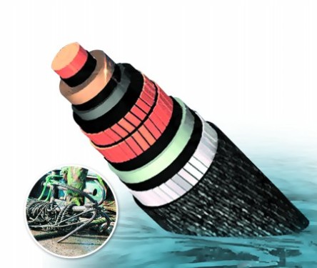 Ten thousand kilometers of international deep-sea optical cable annual shop