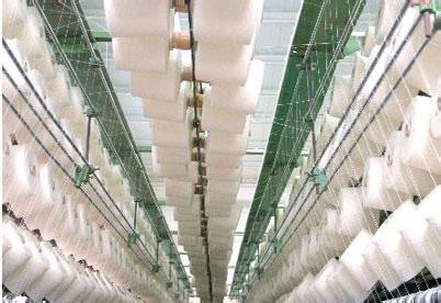 Textile Industry Introduces Biotechnology