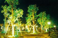 LED plant lighting prospects