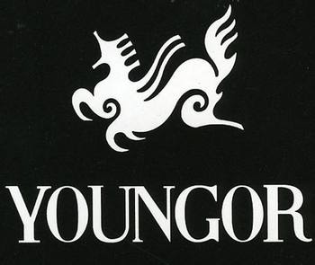 Youngorâ€™s 484 million loss needs to sell ten million garments