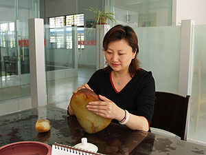 "Tianxia jade, Yangzhou workers"