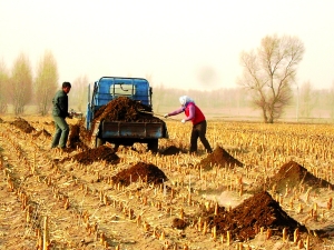 Fertilizer production technology