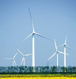 Wind farms can cause wind speed attenuation and affect local temperature