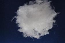 New fiber will remain the protagonist of cotton textile enterprises