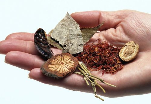 "Chinese Medicine Law" is expected to be introduced during the year