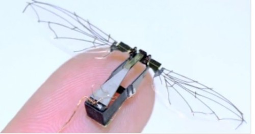 The human eye is difficult to distinguish between true and false "insects", the United States developed a micro-aircraft