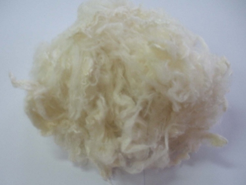 Development of Chitin Fibers