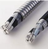 Low cost aluminum alloy cable