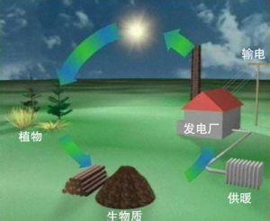 Slow development of biomass power generation