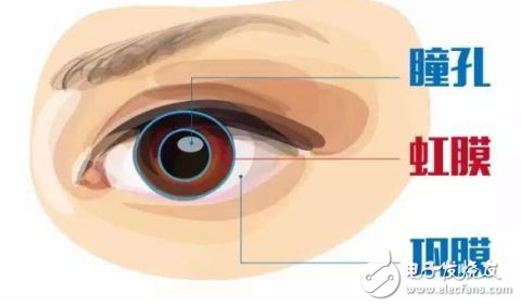 Iris recognition technology principle _ iris recognition technology advantages and disadvantages