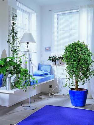 Residential Feng Shui 20 taboos for home Feng Shui arrangement