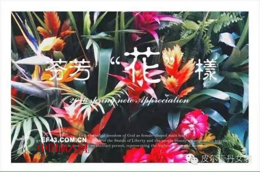 ã€èŠ¬èŠ³â€œèŠ±â€æ ·ã€‘2016 spring new Appreciation