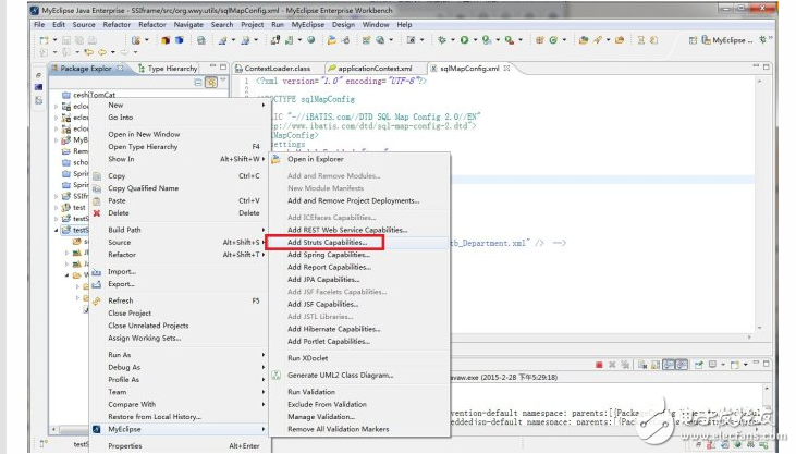 Ssi framework quickly set up