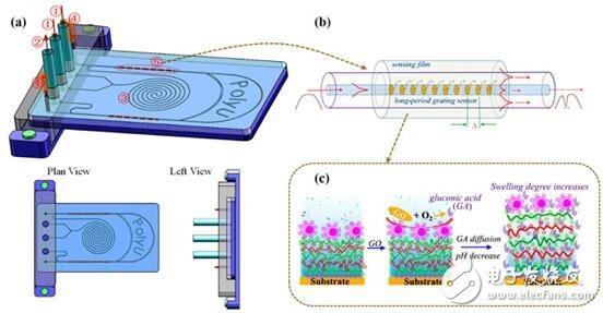 Biochip classification and application