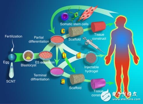 Development and practical research of medical sensors