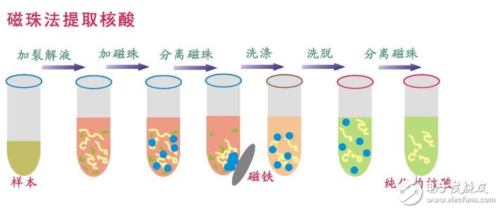 What is biomagnetic beads? Introduction to DNA extraction by magnetic beads