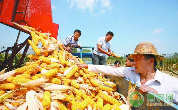 Harvesting of different crops in autumn