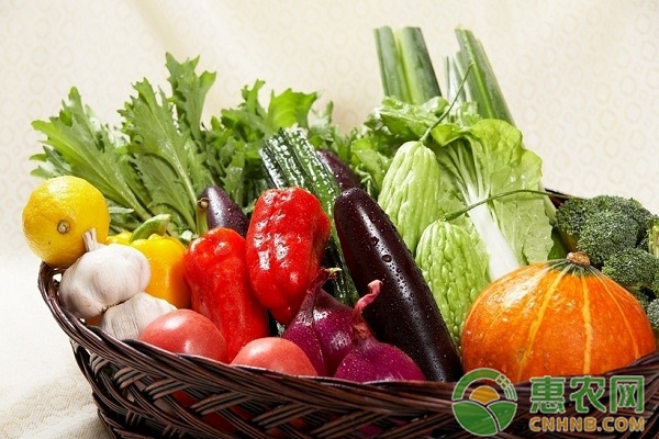 è”¬èœç›ç±»å±å®³çš„å‘ç”ŸåŽŸå› ä¸Žé˜²æ²»æŽªæ–½