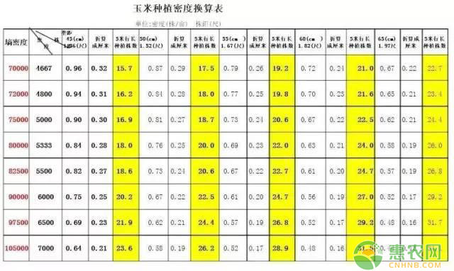 çŽ‰ç±³æ ªè·è®¡ç®—æ–¹æ³•è®²è§£ï¼ˆé™„ç§æ¤å¯†åº¦æ¢ç®—è¡¨ï¼‰